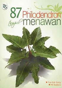Image of 87 philodendron tampil menawan