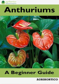 Image of Anthurium