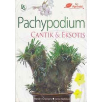 Image of pachypodium cantik dam eksotis